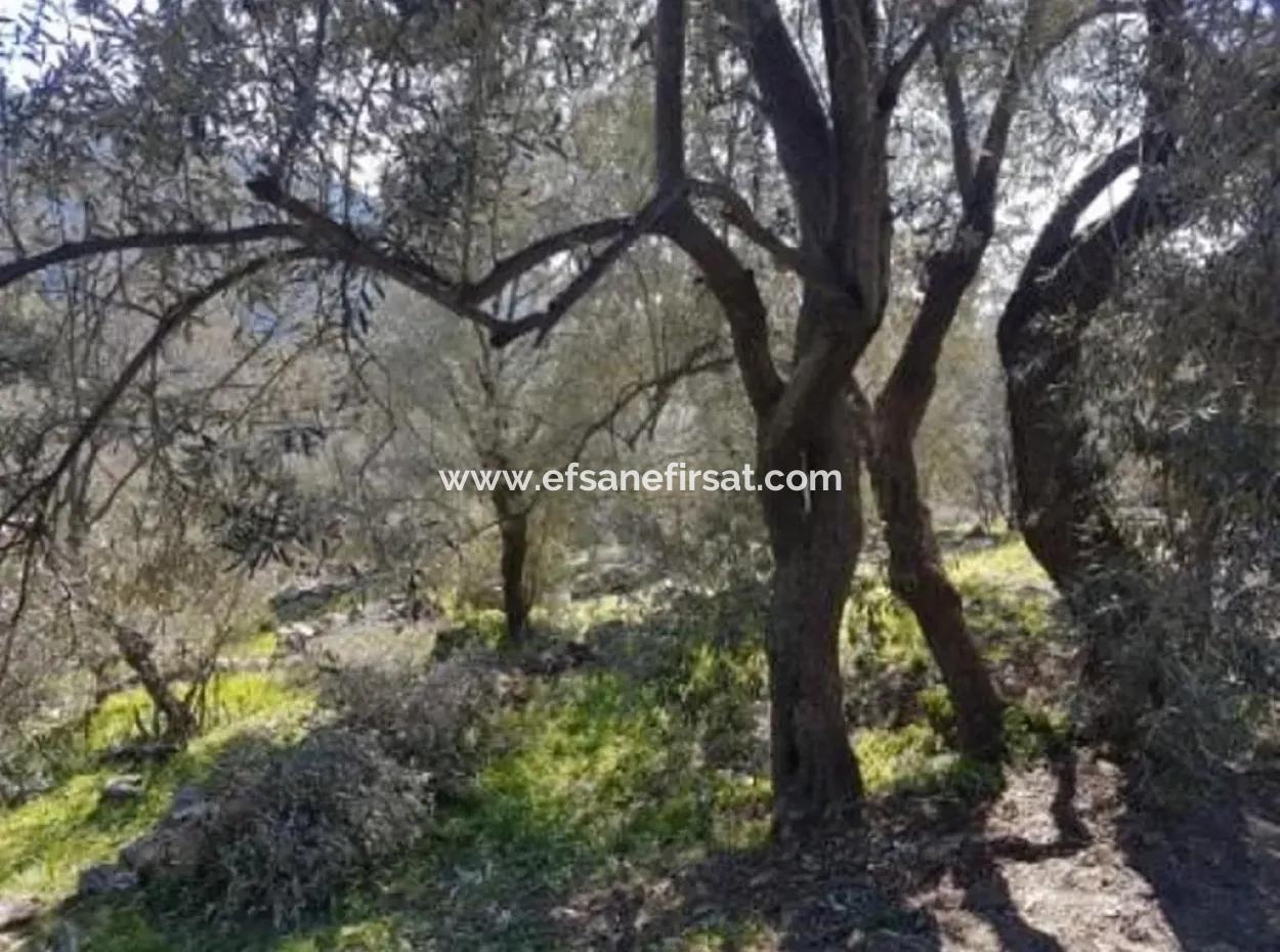 Göcek Gökçeovacıkta Satılık Deniz Manzaralı Arazi