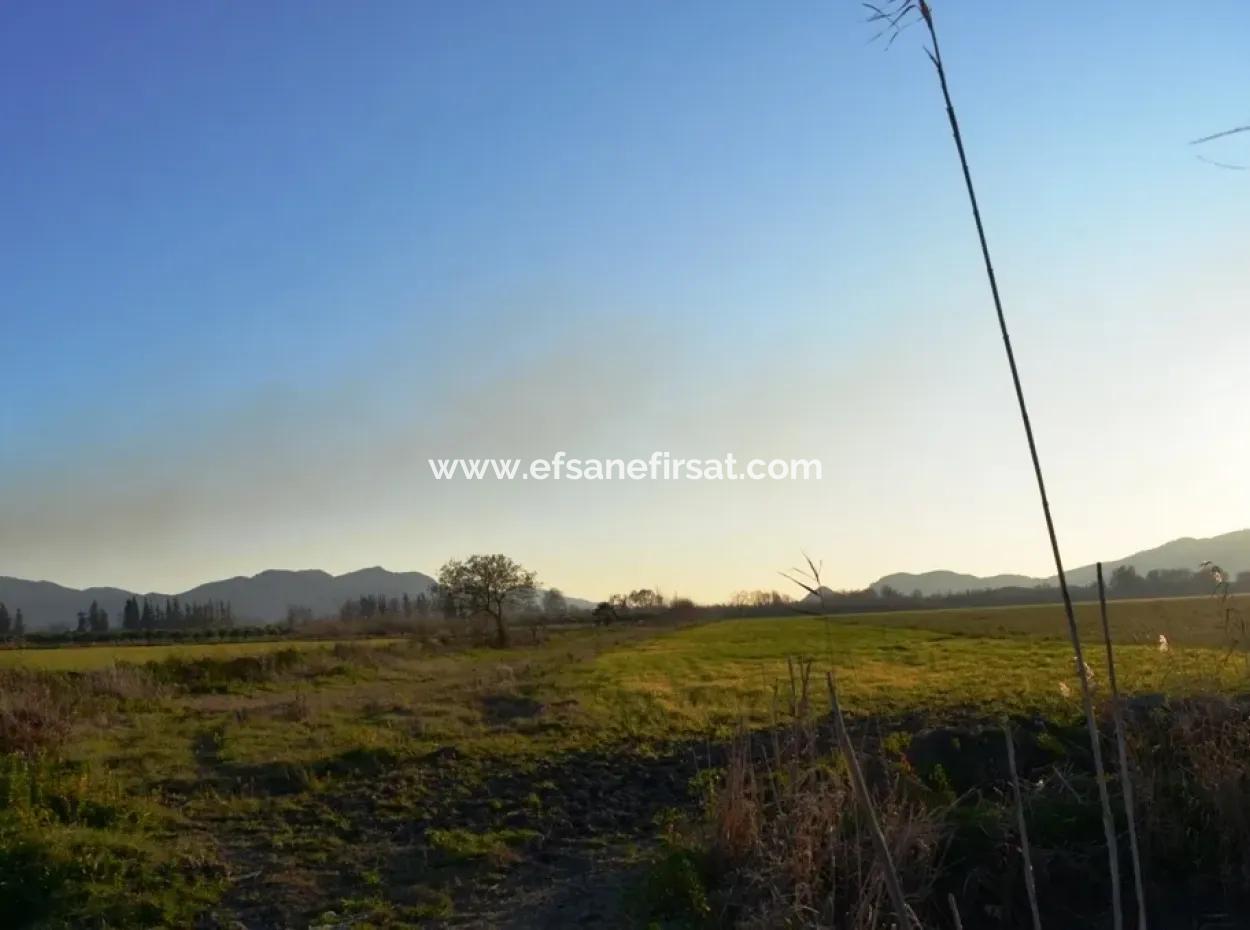 Ula Karaböğürtlende Acil Satılık Kelepir Arazi