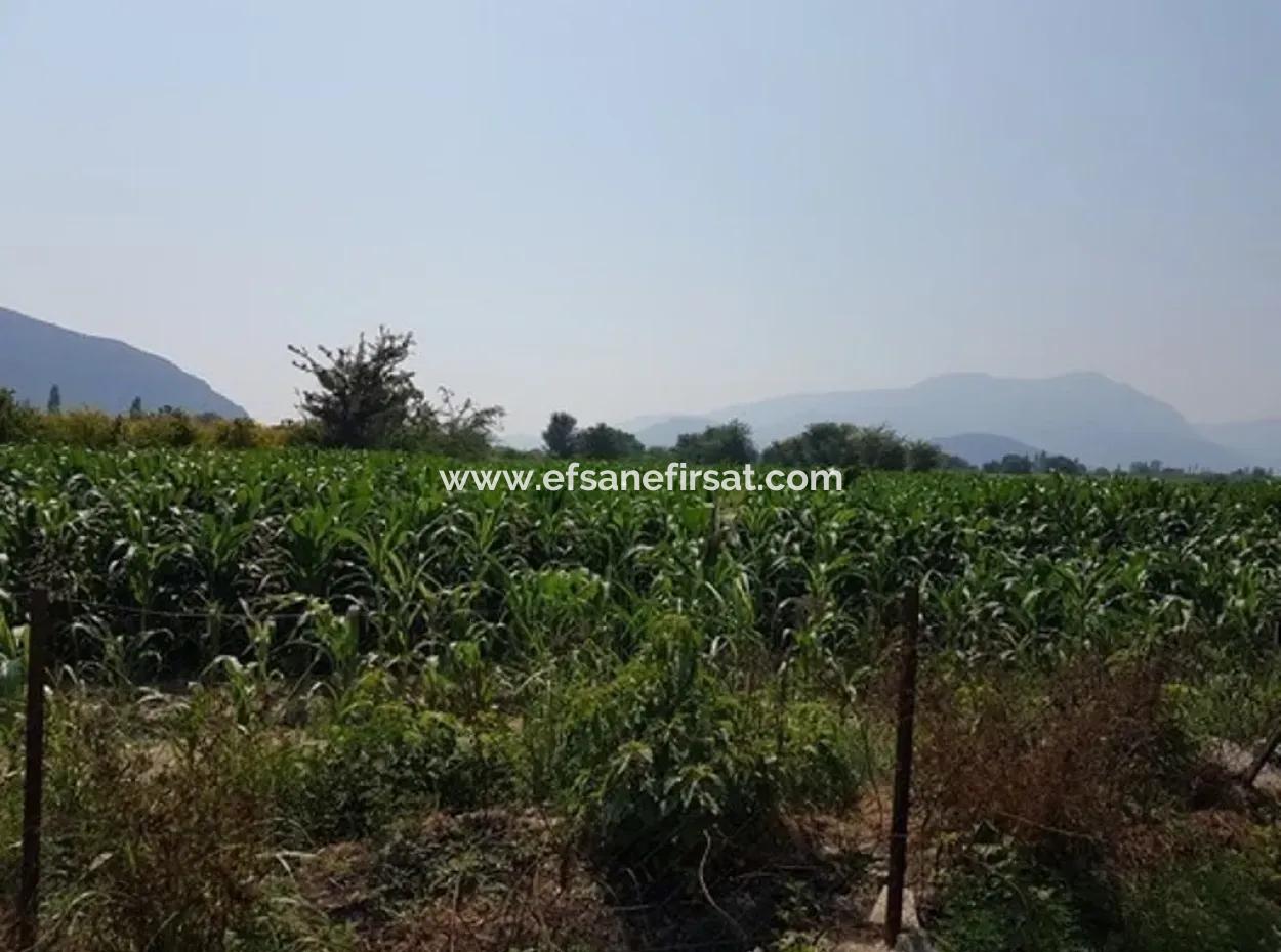 Muğla Ortaca Okçularda Satılık Yatırıma Uygun 3000 M2 Arsa