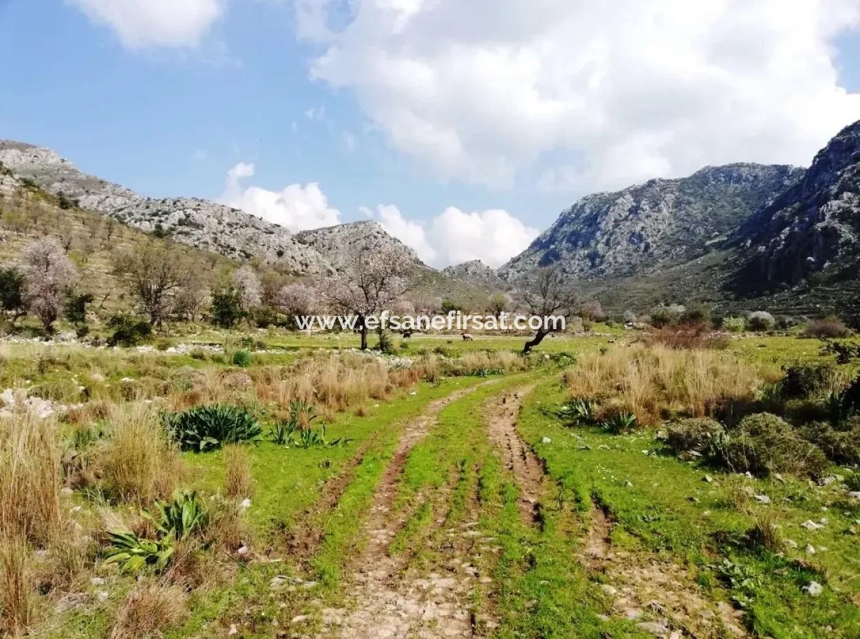 Marmaris Bozburunda Satılık Yatırıma Uygun Tarla