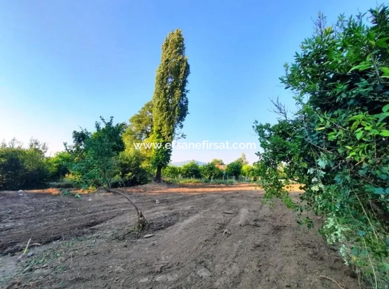 Okçular Da Satılık Müstakil Tapulu Arsalar 