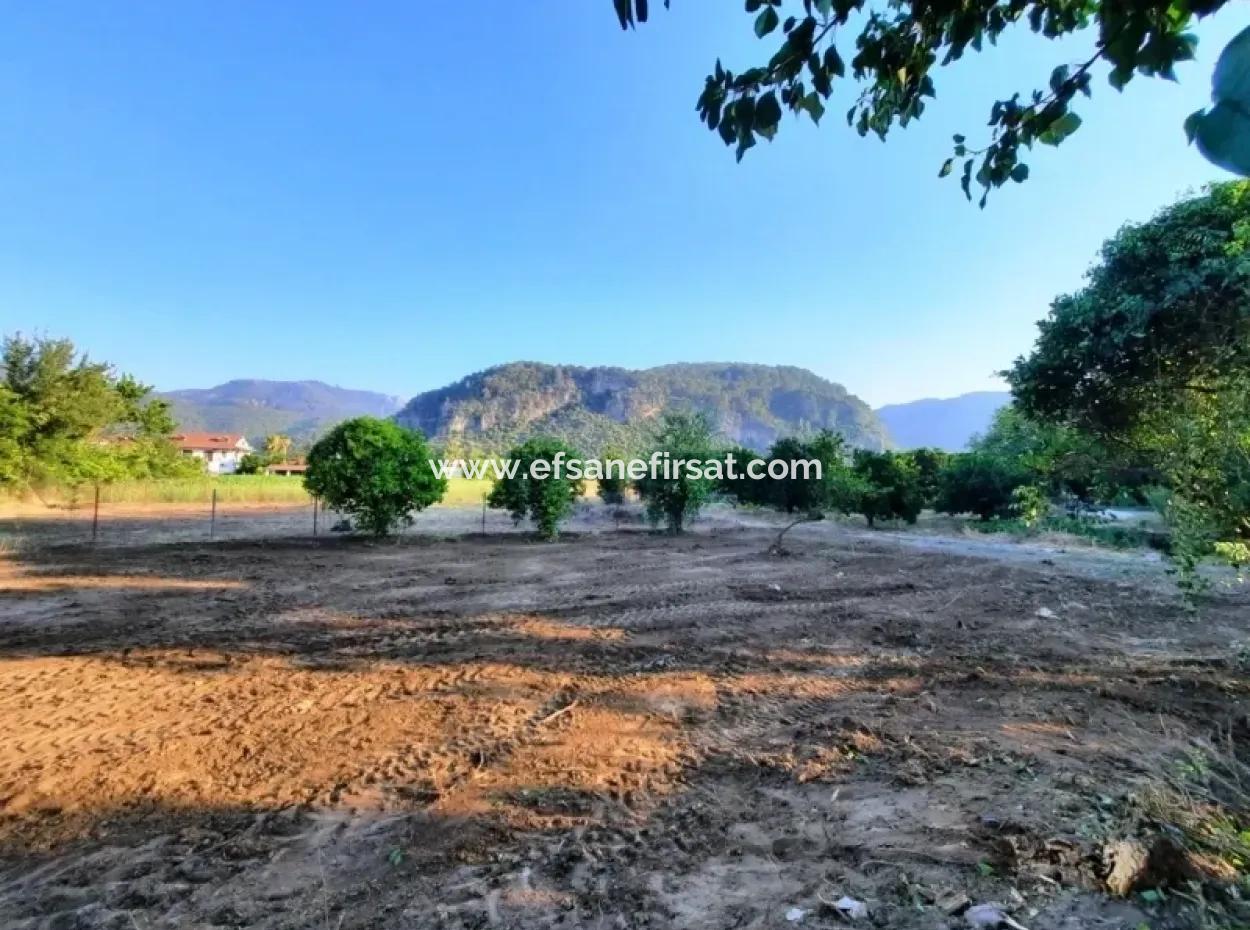 Okçular Da Satılık Müstakil Tapulu Arsalar 