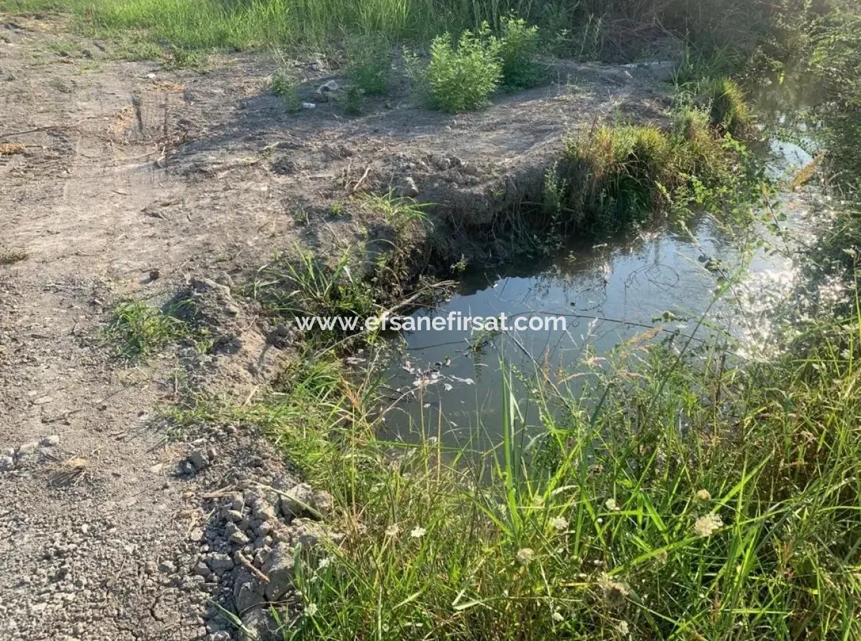 Ortaca Mergenlide 2 Parsel 13 000 M2 Tarla Satılık