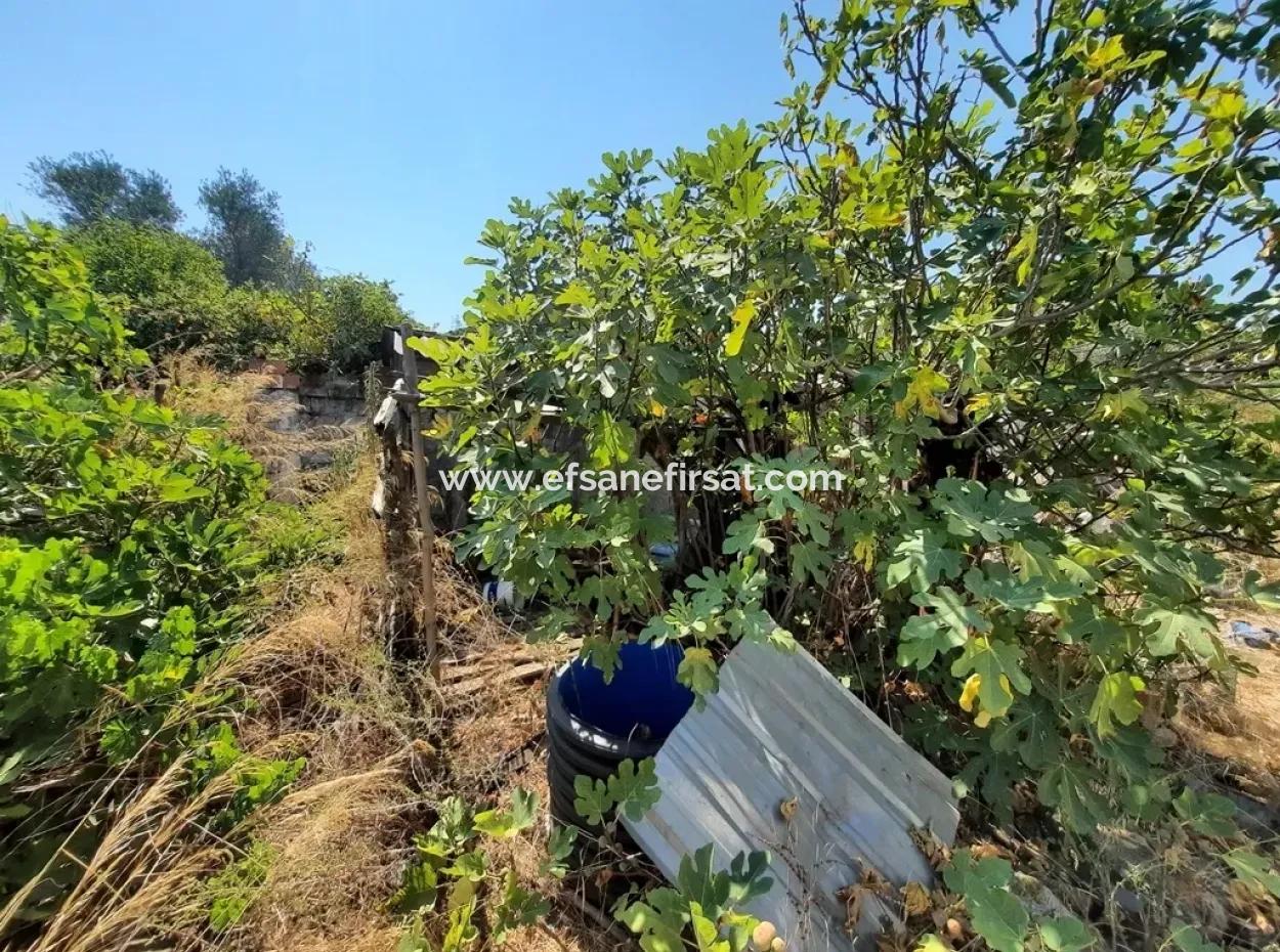 Köyceğiz Toparlarda Satılık İmarlı Arsa