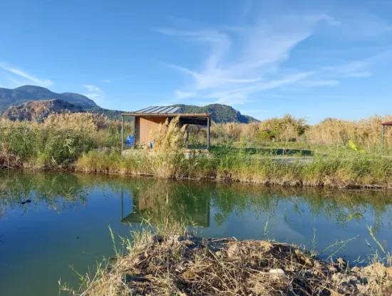 Muğla Ortaca Dalyan’da Kanal Kenarında Tekne Bağlama Yeri Olan Konteyner – Satılık