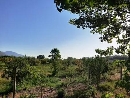 Muğla Dalyan Marmarlıda Satılık Yatırıma Uygun Arazi