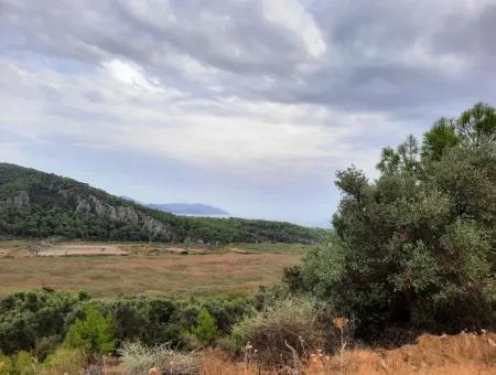 Muğla Sarıgermede Satılık Deniz Manzaralı Arsalar