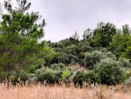 Muğla Sarıgermede Satılık Deniz Manzaralı Arsalar