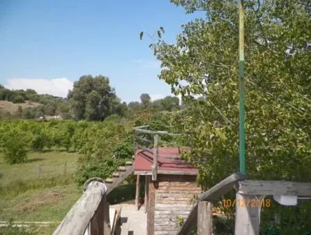 Ortaca Eskiköy De Satılık Organik Tarım Sertifikalı Çiftlik 12 000 M2