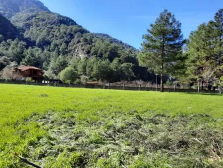 Ortaca Mergenlide Satılık Dağa Sıfır Yatırıma Kelepir Uygun Arazi