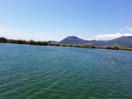 Muğla Dalyanda Satılık Kanala Sıfır Yatırıma Uygun Nar Bahçesi