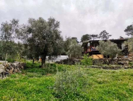 Fethiye Göcek Taşbaşında Satılık Doğa İçinde Müstakil Köy Evi