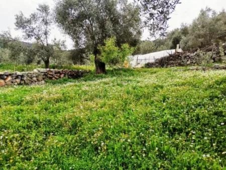 Fethiye Göcek Taşbaşında Satılık Doğa İçinde Müstakil Köy Evi