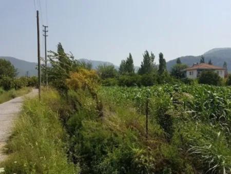 Muğla Ortaca Okçularda Satılık Müstakil 15000 M2 Verimli Arazi