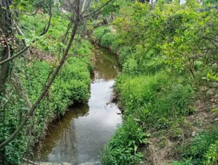 Muğla Köyceğiz Köyceğiz Mah.de 1026 M2 Müstakil Arsa Satılık