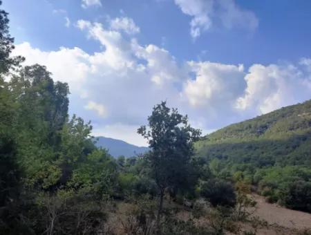 Muğla Dalyan Gökbelde 320 M2 Kelepir Arazi Satılık