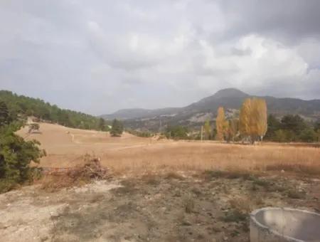 Çameli Cumalanında Eski Acıpayam Yoluna Sıfır Müstakil  6 230 M2 Arazi Satılık Veya Takas