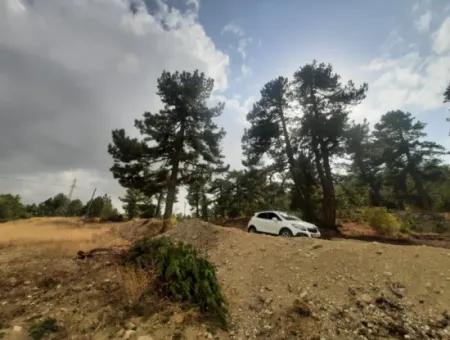 Çameli Cumalanında Eski Acıpayam Yoluna Sıfır Müstakil  6 230 M2 Arazi Satılık Veya Takas