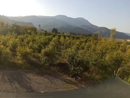 Dalyan Da Ticari İmarlı 4 700 M2 Dükkan Ve Otel Arsası Satılık