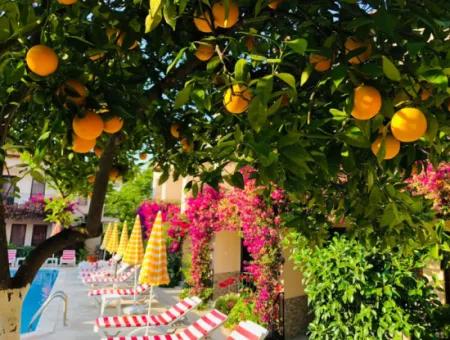 Muğla Dalyan Da Eşyalı 2+1 Dubleks Apart Günlük-Haftalık Kiralık