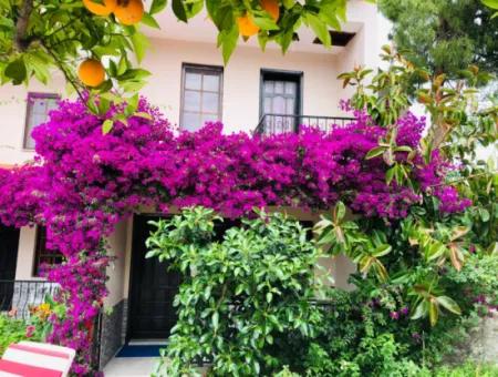 Muğla Dalyan Da Eşyalı 2+1 Dubleks Apart Günlük-Haftalık Kiralık