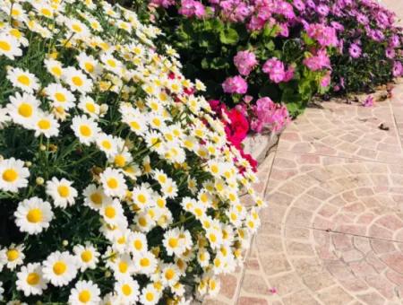 Muğla Dalyan Da Eşyalı 2+1 Dubleks Apart Günlük-Haftalık Kiralık