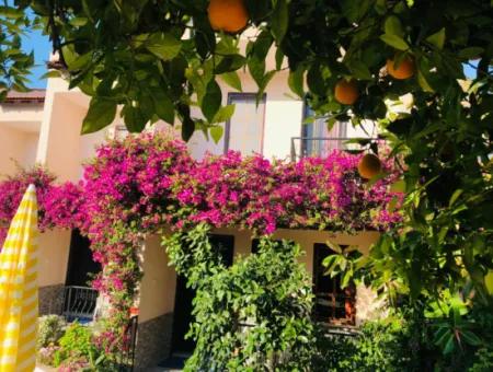 Muğla Dalyan Da Eşyalı 2+1 Dubleks Apart Günlük-Haftalık Kiralık