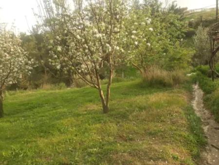 Fethiye Seydikemer Arsaköyün De 900 M2 Yanyana 2 Parsel Elma Bahçesi Satılık.
