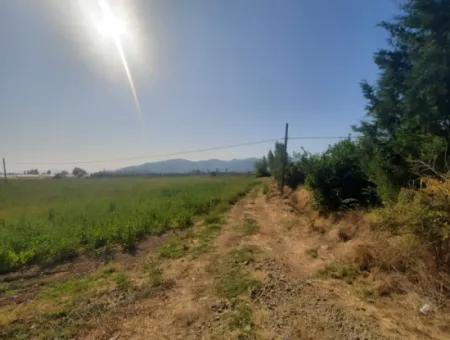 Muğla Ortaca Ekşiliyurtta 8.000 M2 Verimli Arazi Satılık