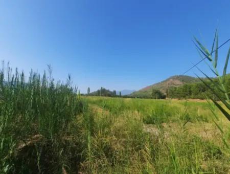 Muğla Ortaca Ekşiliyurtta 8.000 M2 Verimli Arazi Satılık