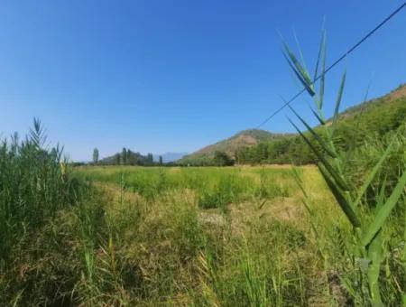 Muğla Ortaca Ekşiliyurtta 8.000 M2 Verimli Arazi Satılık