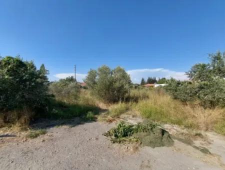 Dalyan Arıkbaşı Mevkiinde İmarlı Arsa Satılık
