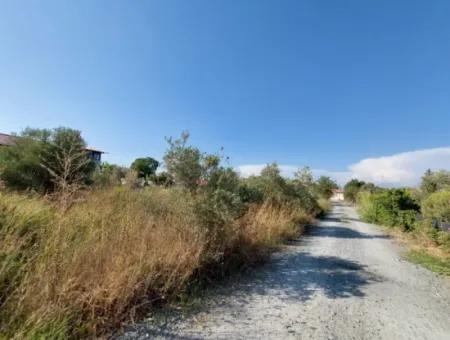 Dalyan Arıkbaşı Mevkiinde İmarlı Arsa Satılık