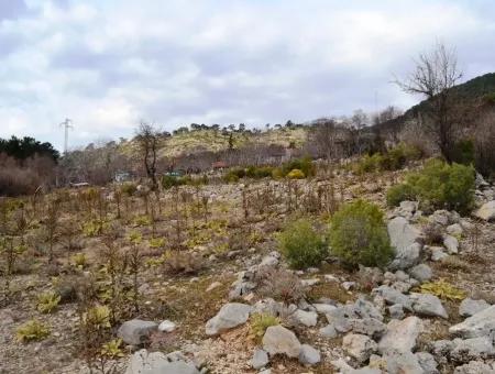 Fethiye Arpacık Ta Satılık Kelepir Arazi