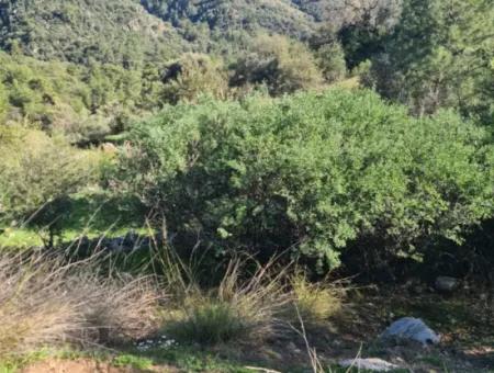Fethiye İnlice'de Deniz Manzaralı 15.000 M² Müstakil Arazi Satılık