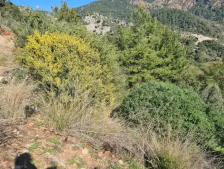 Fethiye İnlice'de Deniz Manzaralı 15.000 M² Müstakil Arazi Satılık