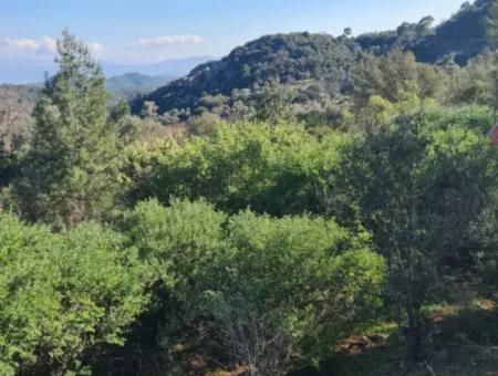 Fethiye İnlice'de Deniz Manzaralı 15.000 M² Müstakil Arazi Satılık