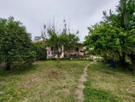 Muğla Köyceğiz Kavakarasında 6.650 M² Verimli Arazide Köy Evi Ve Çiftlik Satılık