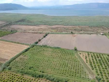 Ortaca Tepearası Nda 13 700 M2 Kelepir Arazi Satılık