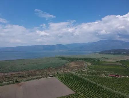 Ortaca Tepearası Nda 13 700 M2 Kelepir Arazi Satılık