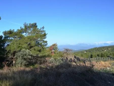 Fethiye Yaka Tlos Satılık Su Kenarı Değerli Arazi