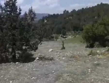 Çameli Ayvacık Ta 1770 M2 Tarla Satılık