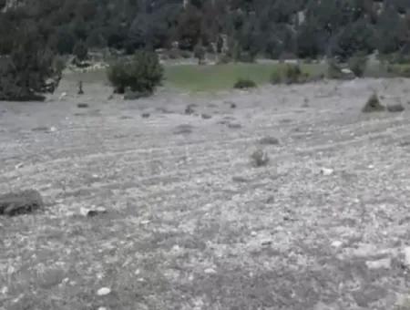 Çameli Ayvacık Ta 1770 M2 Tarla Satılık