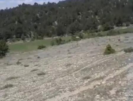 Çameli Ayvacık Ta 1770 M2 Tarla Satılık