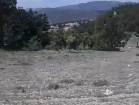 Çameli Ayvacık Ta 1770 M2 Tarla Satılık