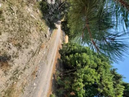 Fethiye, Nif Te, 2 100 M2, Satılık, Kelepir Arazi