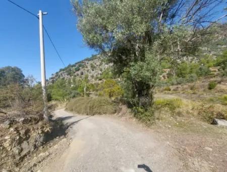 Ortaca Gökbel De Göle Yakın 400 M2 Arazi Devren Satılık