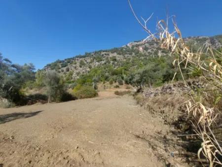 Ortaca Gökbel De Göle Yakın 400 M2 Arazi Devren Satılık