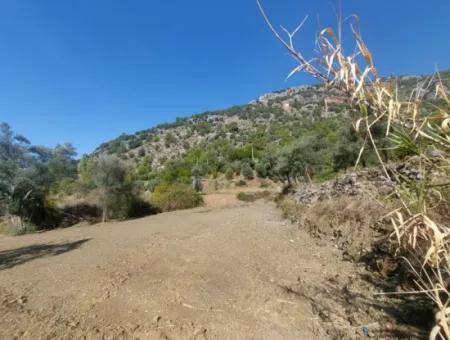 Ortaca Gökbel De Göle Yakın 400 M2 Arazi Devren Satılık