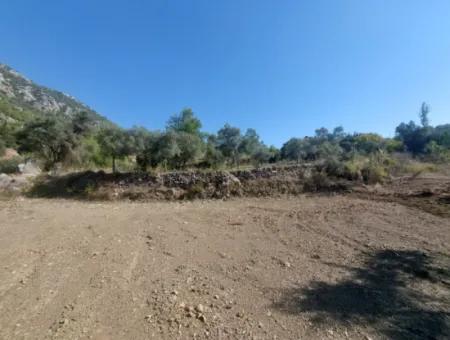 Ortaca Gökbel De Göle Yakın 400 M2 Arazi Devren Satılık